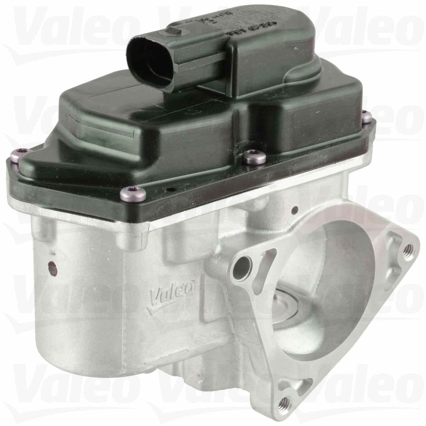 Valeo EGR Valve 700424