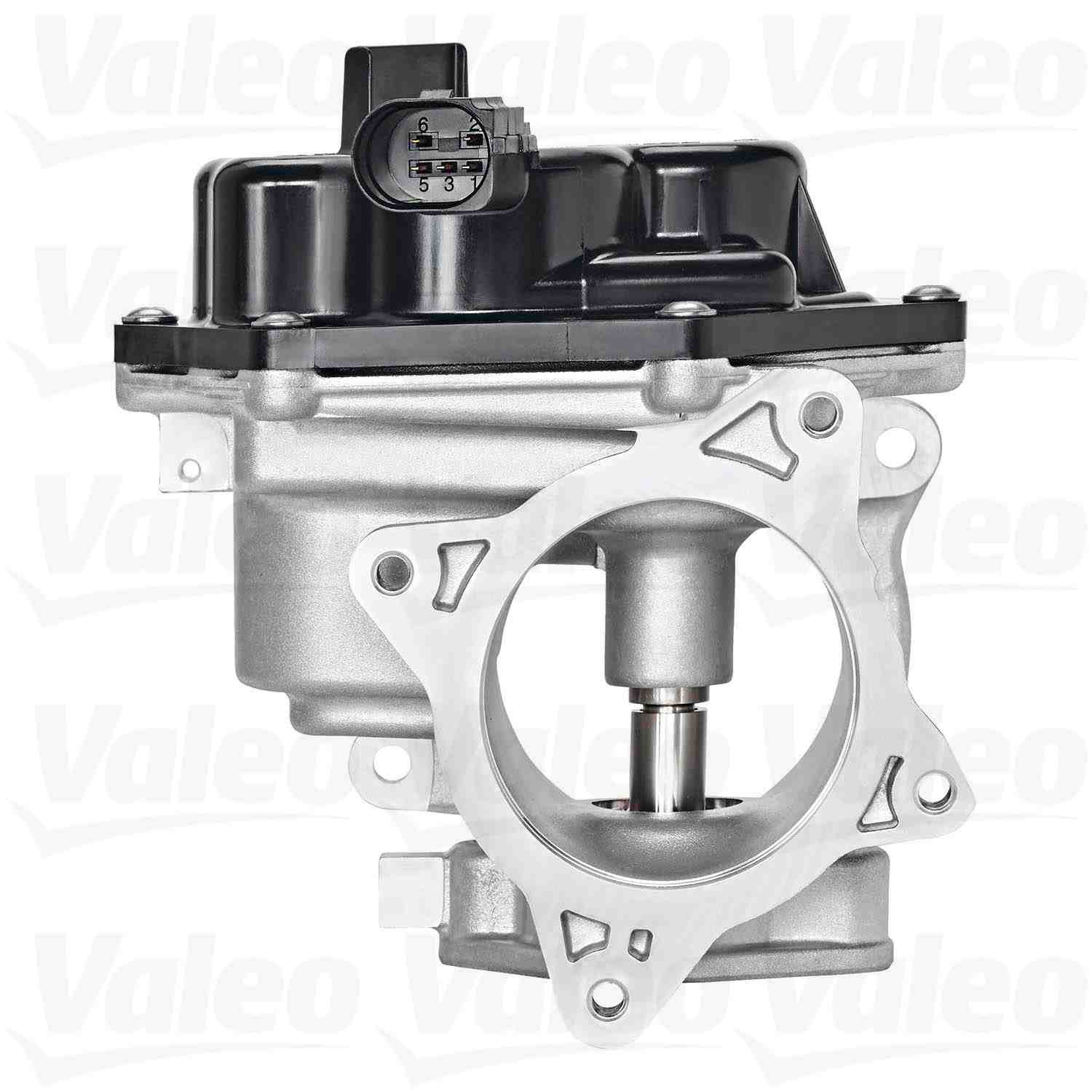 Valeo EGR Valve 700448