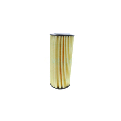 VAICO Engine Oil Filter Element V10-0666