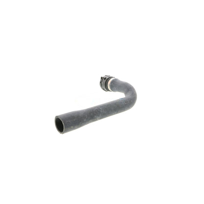 VAICO Radiator Coolant Hose V10-0895
