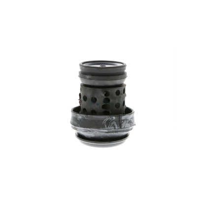 Vaico V10-1180