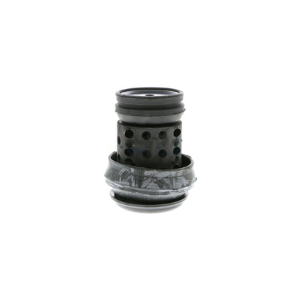 Vaico V10-1180