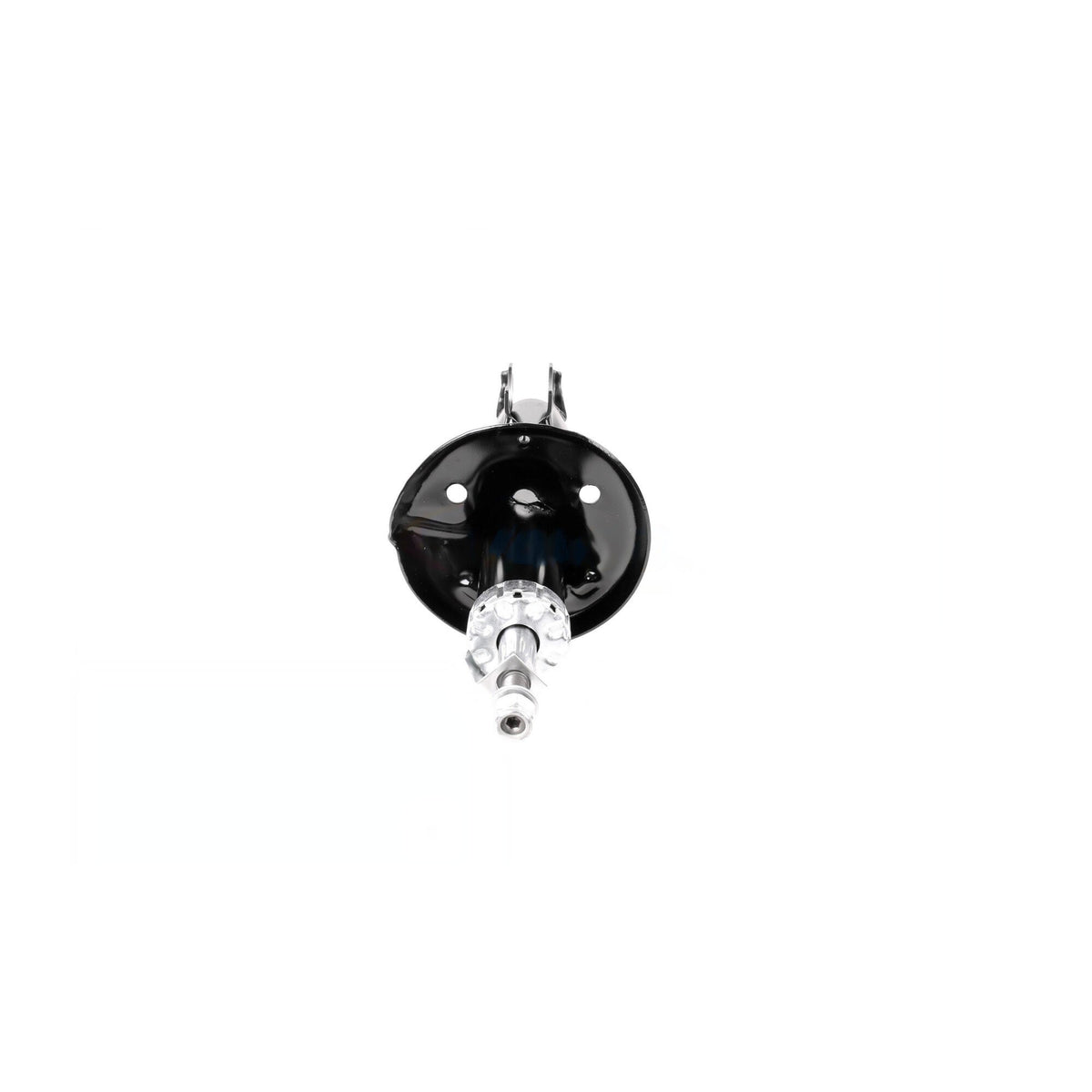 VAICO Suspension Strut Assembly V10-1709