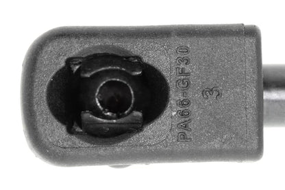 Vaico Hatch Lift Support