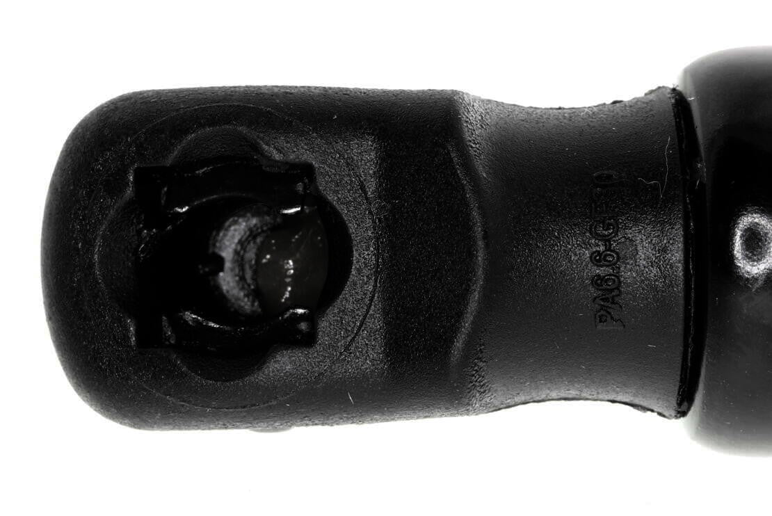 Vaico Hatch Lift Support