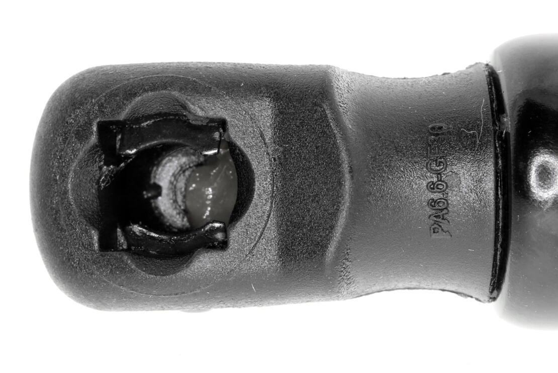 Vaico Hatch Lift Support