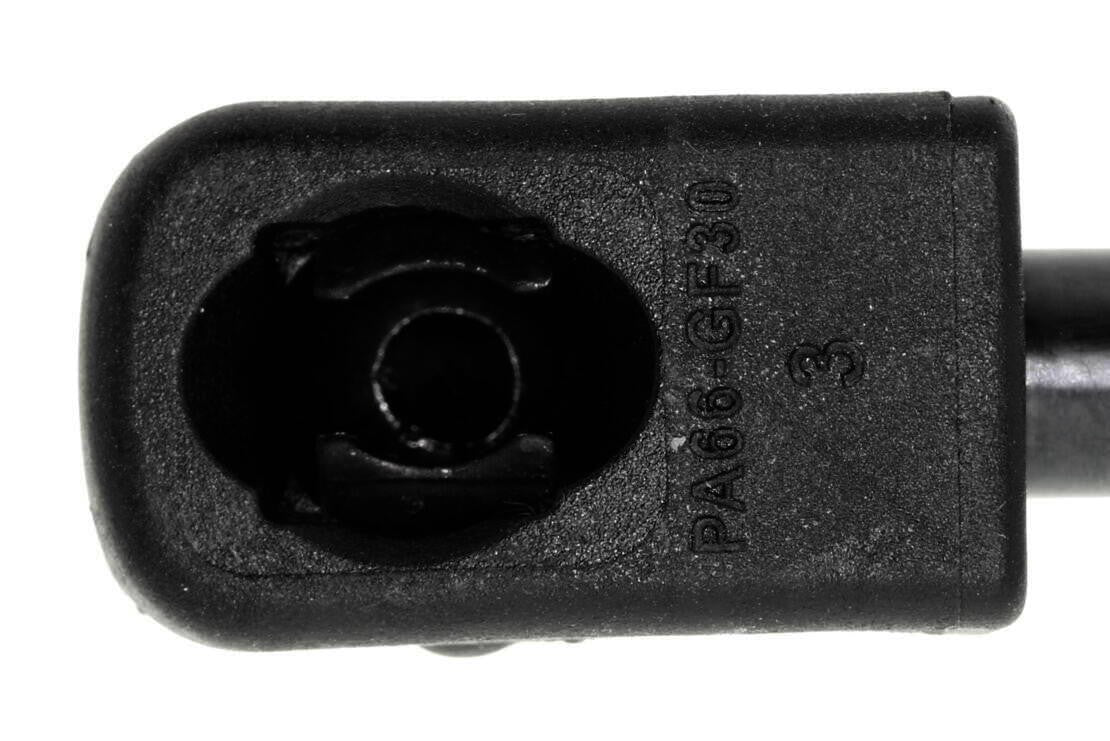 Vaico Hatch Lift Support