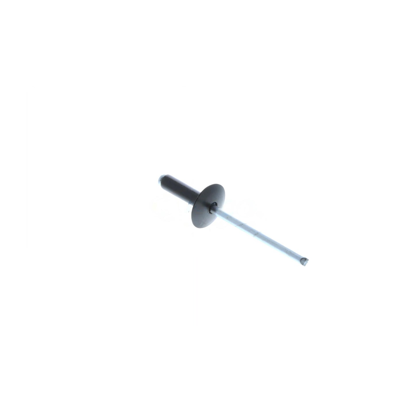 VAICO Body Trim Molding Rivet V10-2035