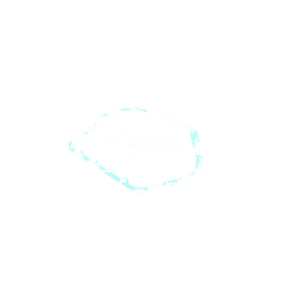 VAICO Automatic Transmission Case Gasket V10-2537