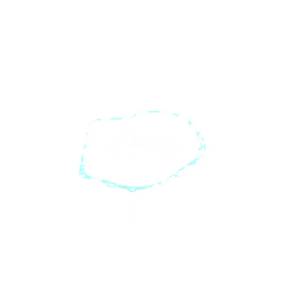 VAICO Automatic Transmission Case Gasket V10-2537
