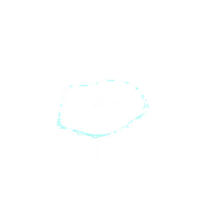 VAICO Automatic Transmission Case Gasket V10-2537