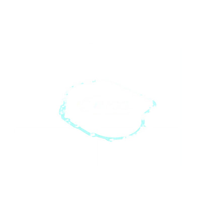 VAICO Automatic Transmission Case Gasket V10-2537