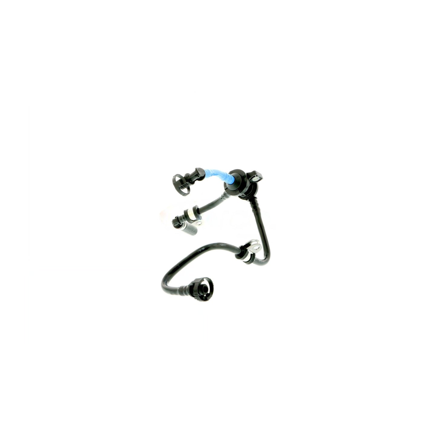 Vaico Vapor Canister Purge Valve Hose