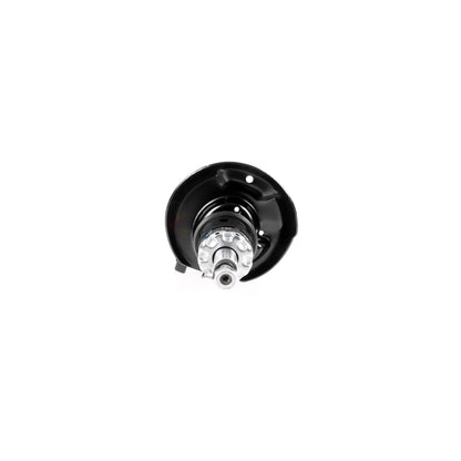 VAICO Suspension Strut V10-4955