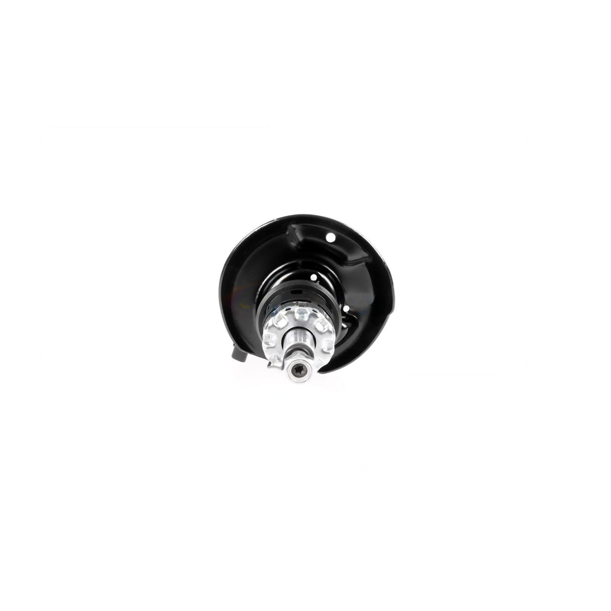 VAICO Suspension Strut V10-4955