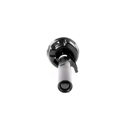 VAICO Suspension Strut V10-4955