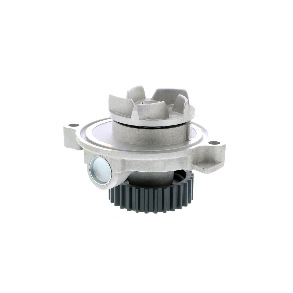 VAICO Engine Water Pump V10-50028
