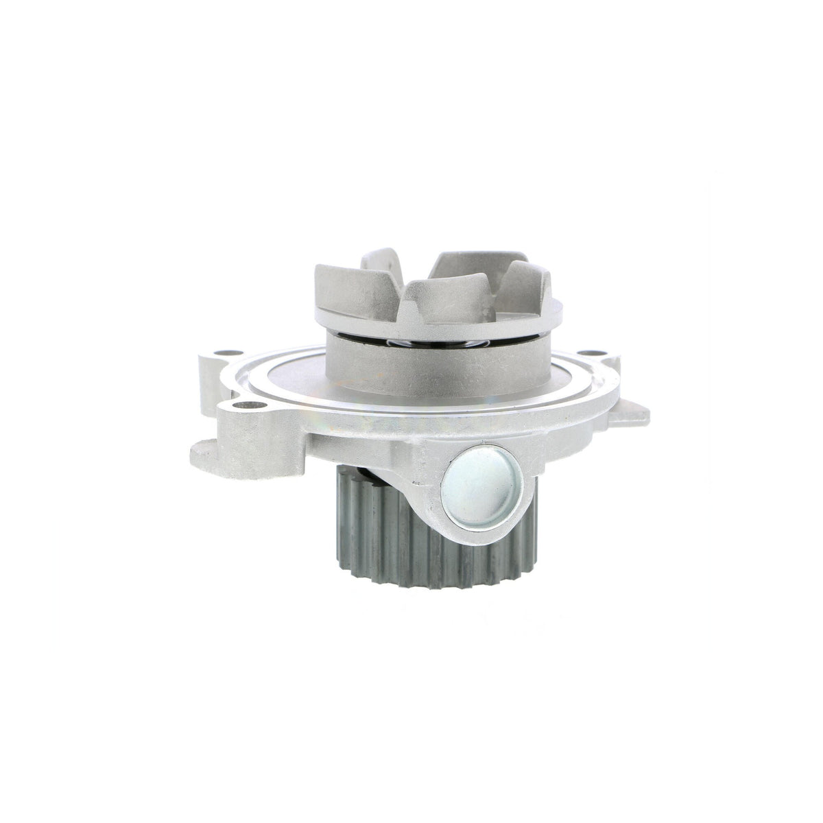VAICO Engine Water Pump V10-50041