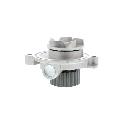 VAICO Engine Water Pump V10-50041