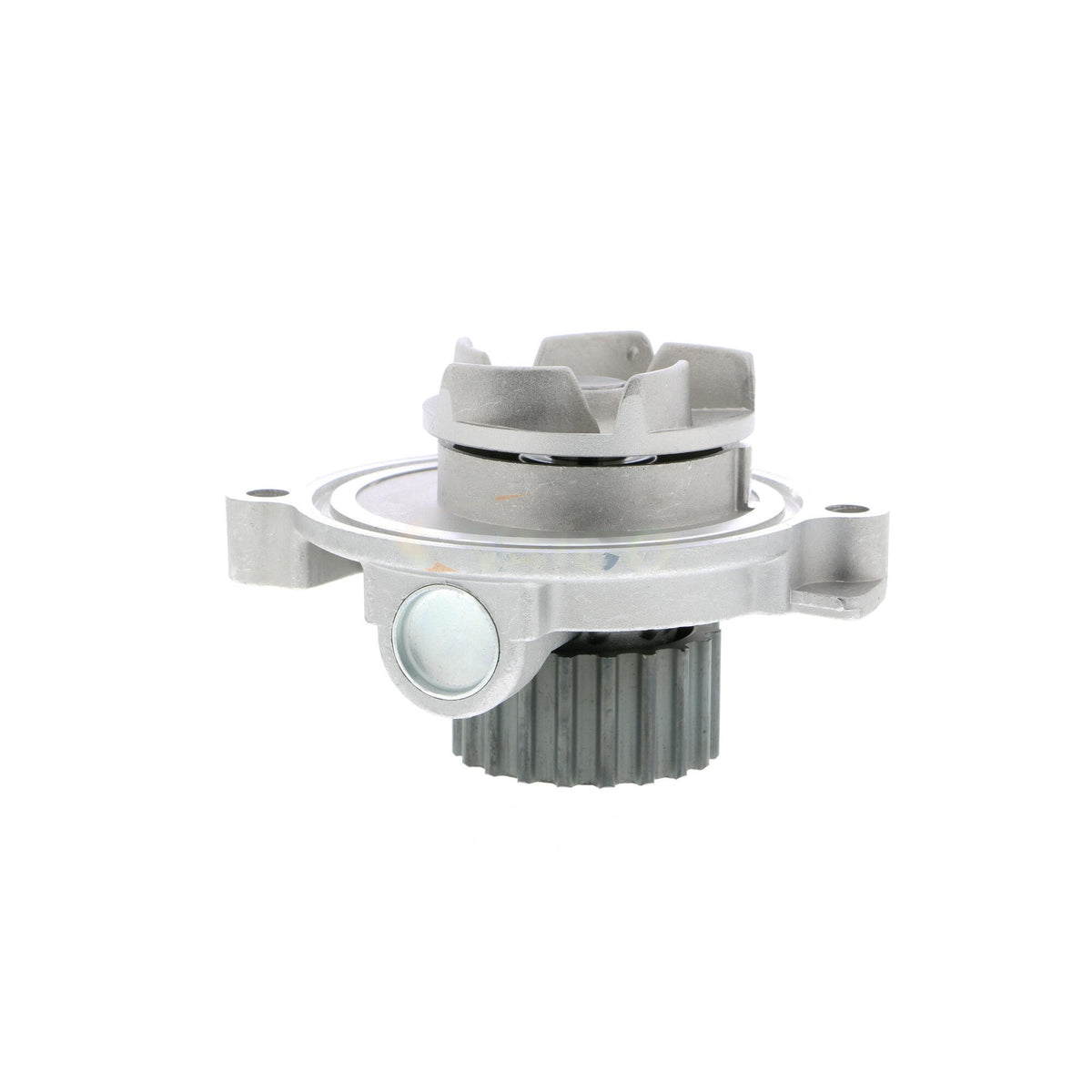 VAICO Engine Water Pump V10-50041
