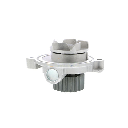 VAICO Engine Water Pump V10-50041