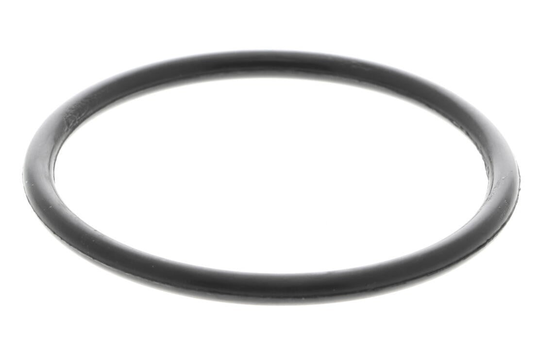 VAICO Engine Water Pump V10-50073-1