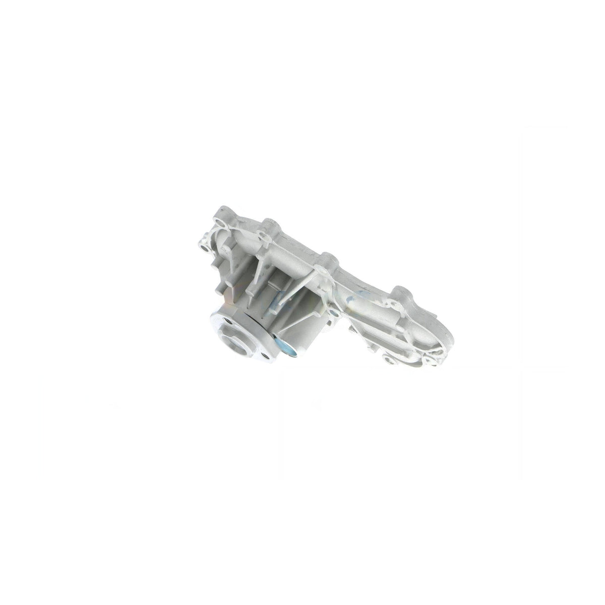 VAICO Engine Water Pump V10-50079