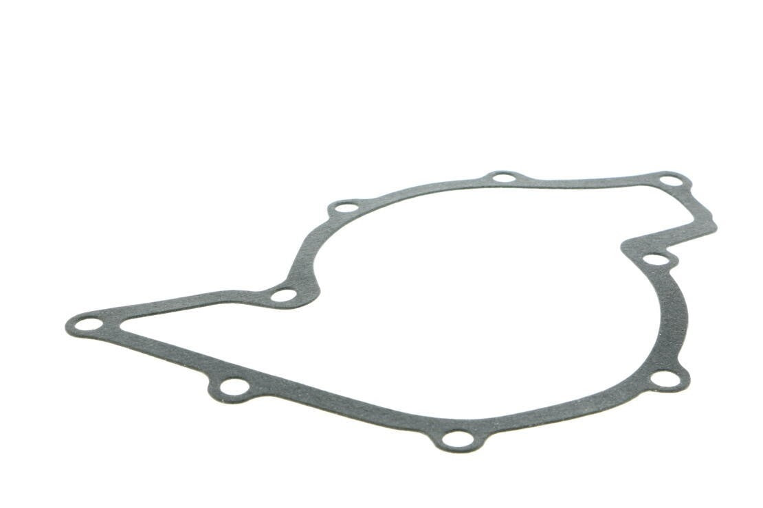 VAICO Engine Water Pump V10-50087