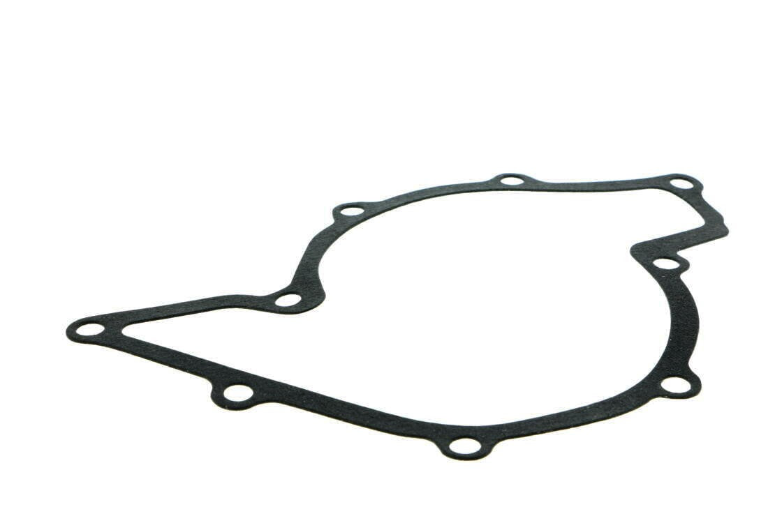VAICO Engine Water Pump V10-50087