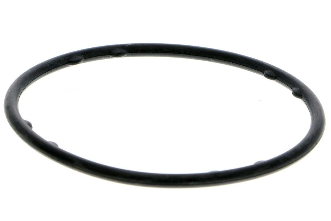 VAICO Engine Water Pump V10-50099