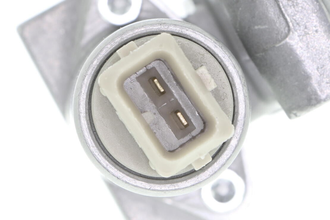 VAICO Engine Timing Chain Tensioner V10-9866