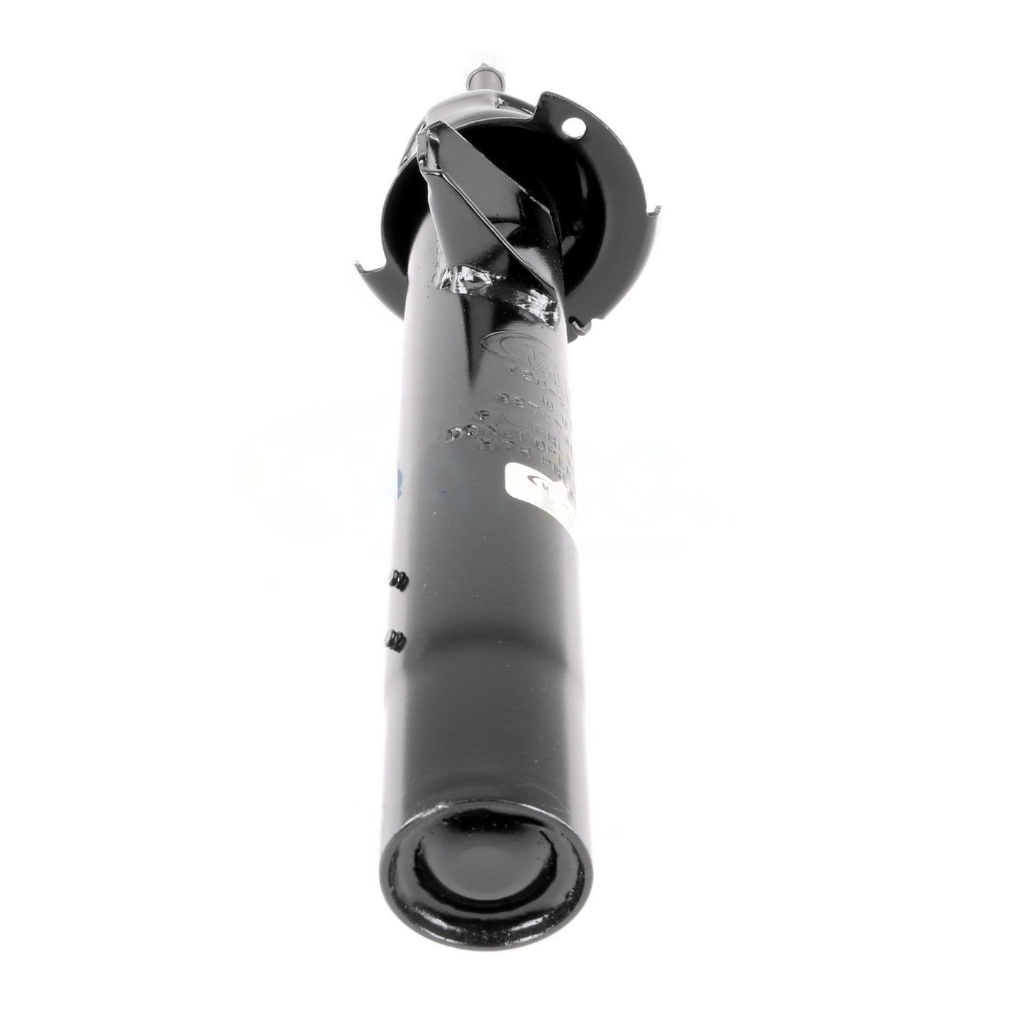 VAICO Suspension Strut V20-2180