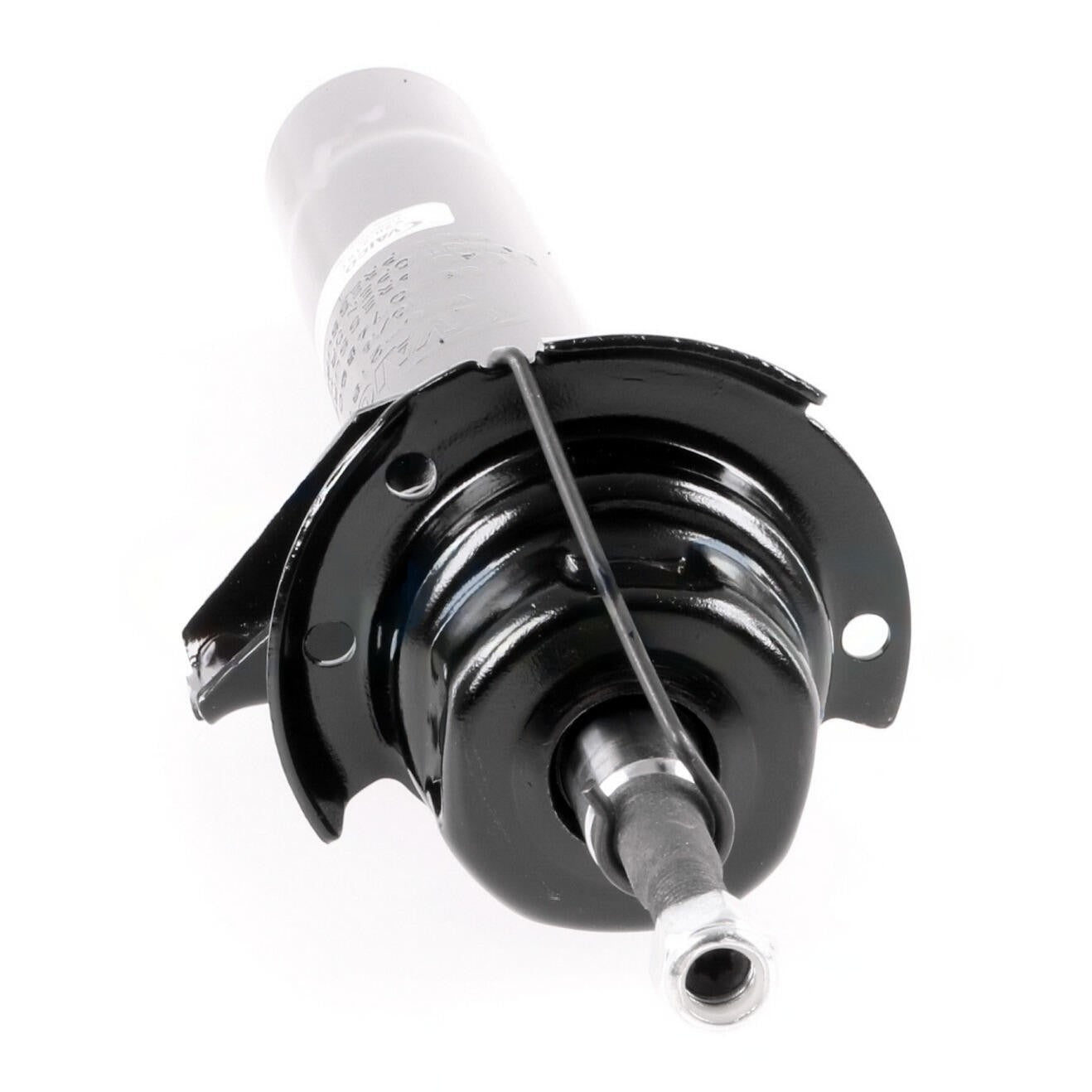 VAICO Suspension Strut V20-2181