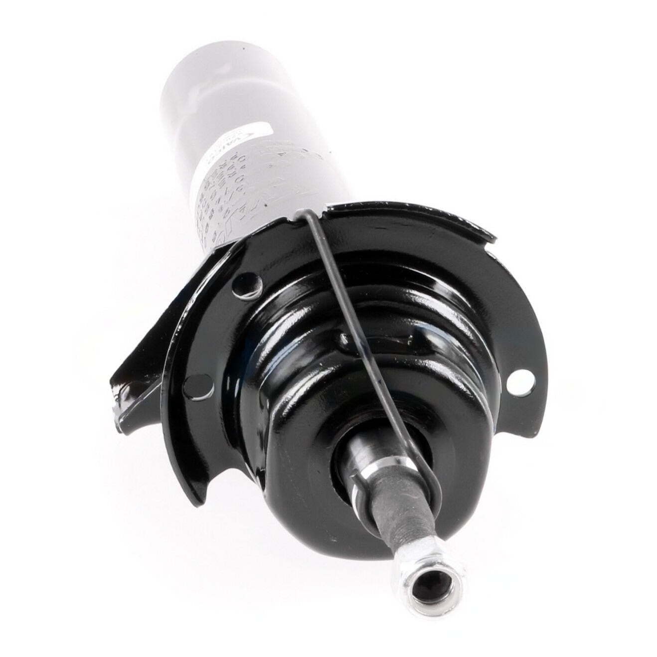 VAICO Suspension Strut V20-2181
