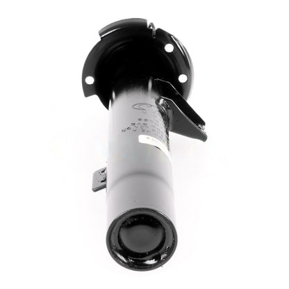 VAICO Suspension Strut V20-2181