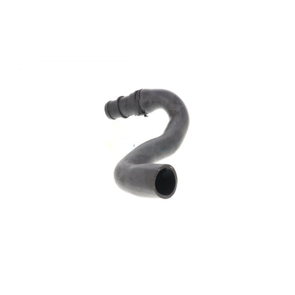 VAICO Radiator Coolant Hose V20-2462