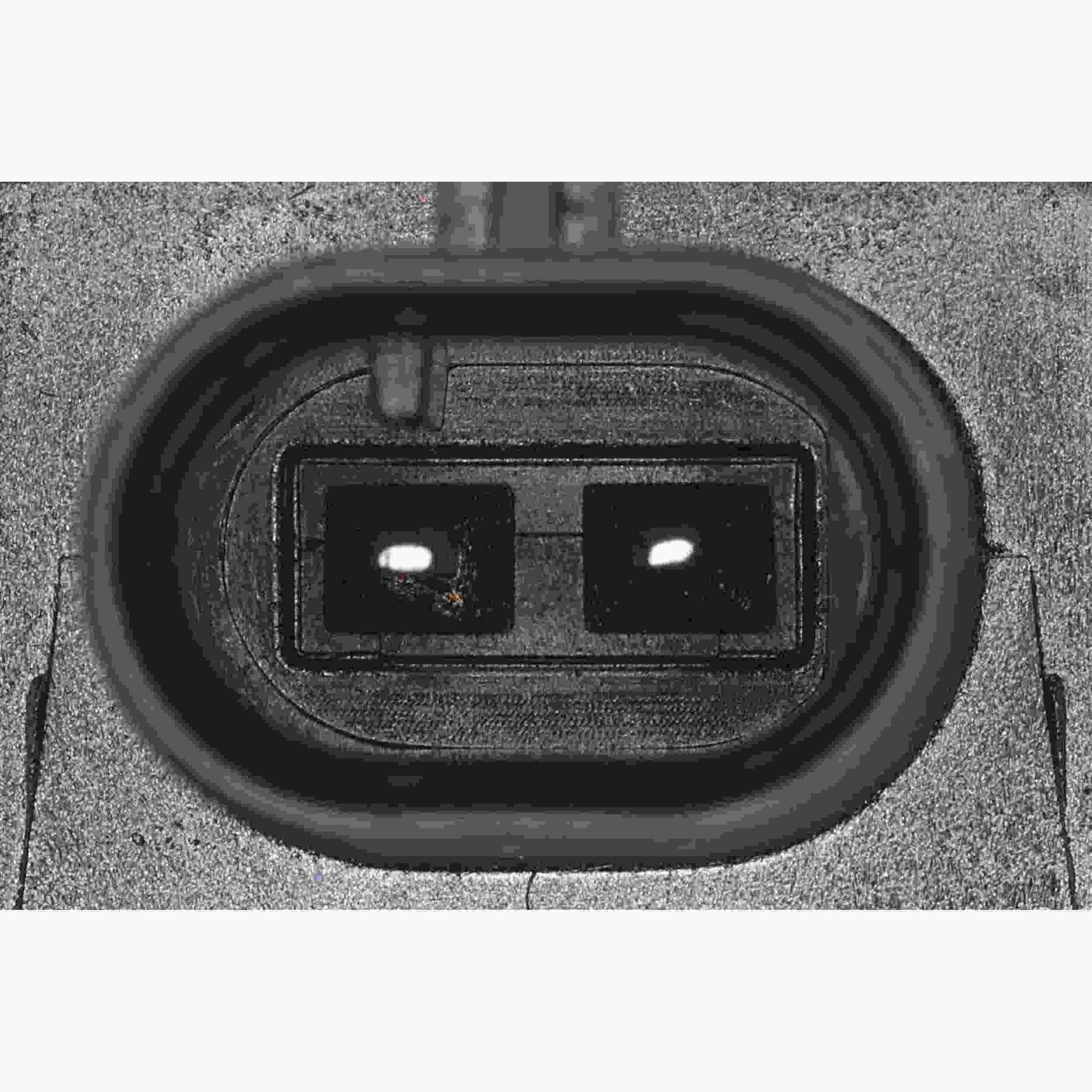 VAICO Engine Variable Valve Timing (VVT) Adjuster Magnet V20-3666