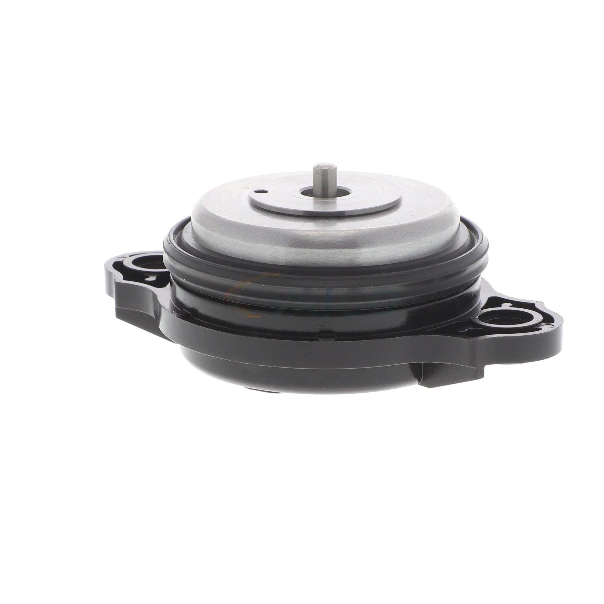 VAICO Engine Variable Valve Timing (VVT) Adjuster Magnet V20-3666