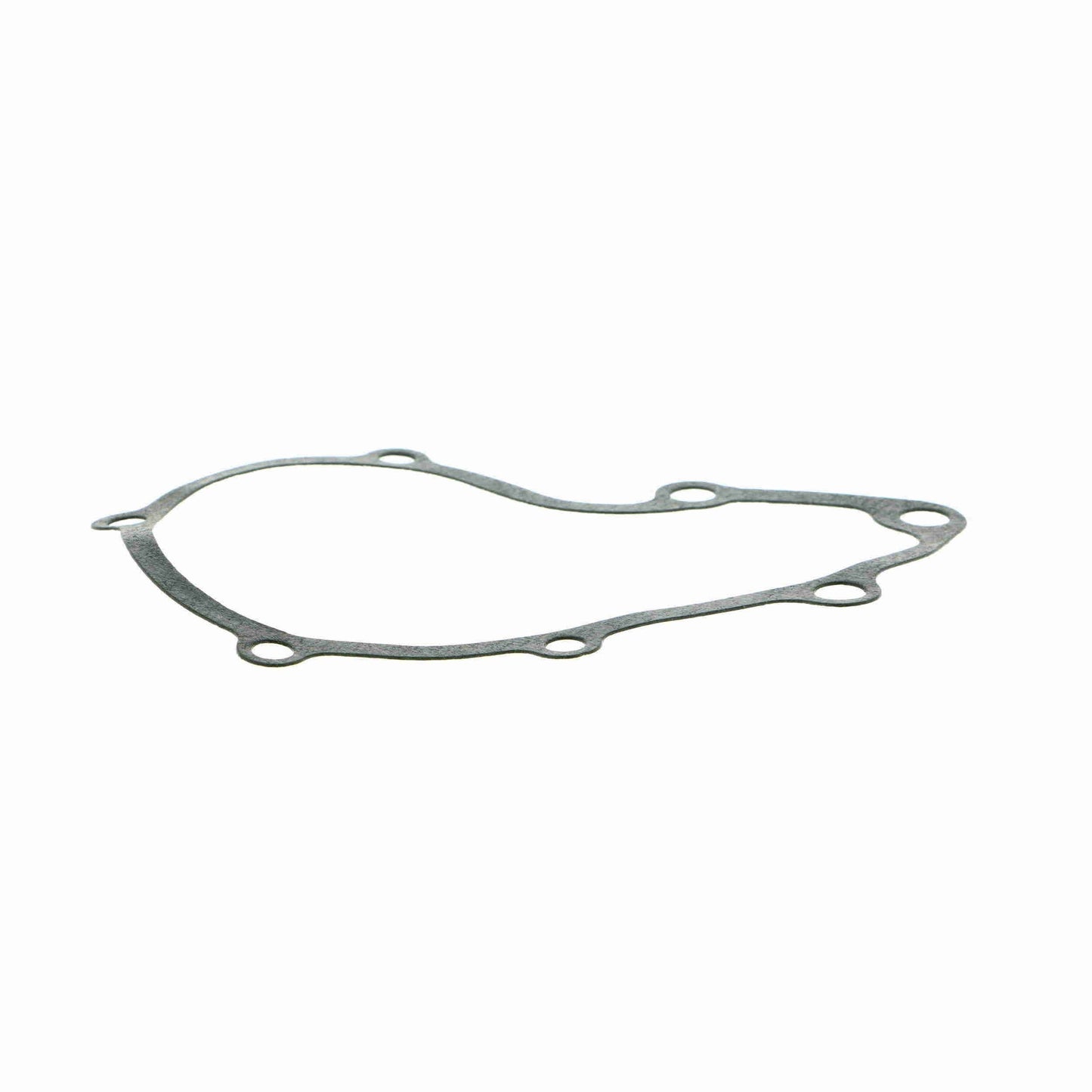 VAICO Engine Water Pump V20-50008