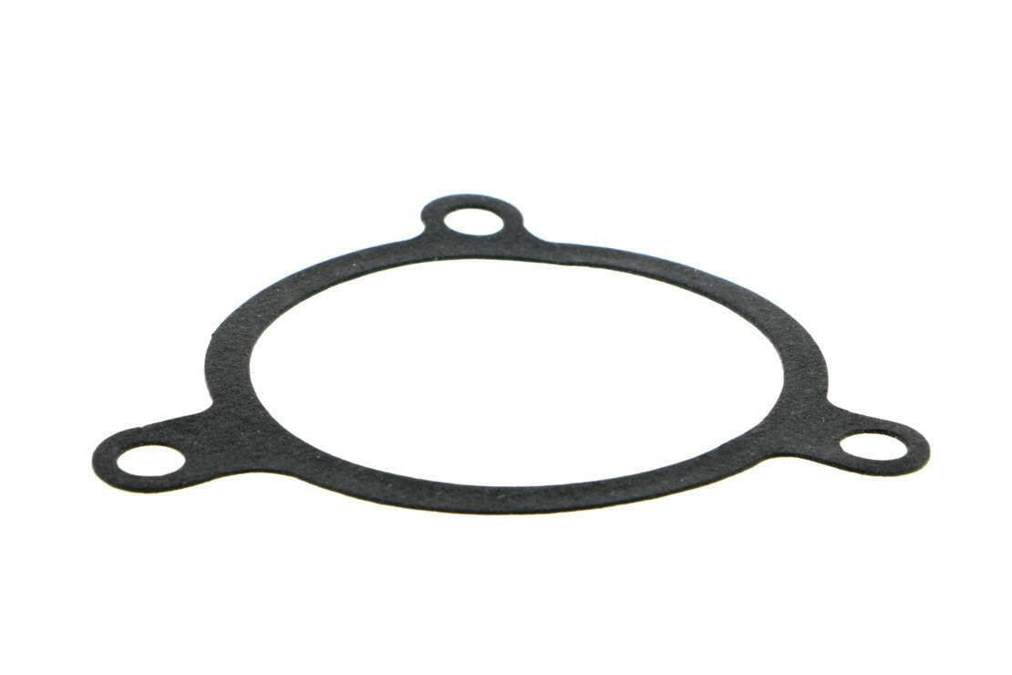 VAICO Engine Water Pump V20-50011