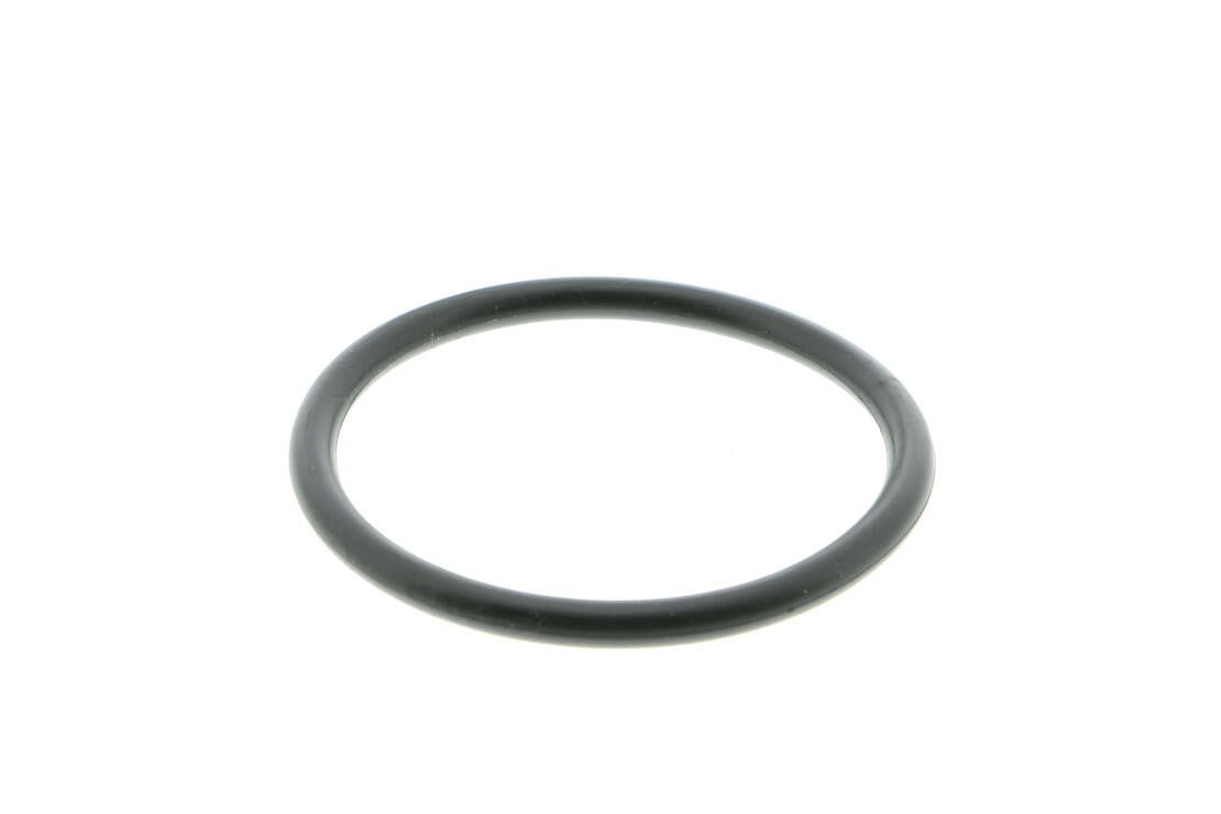 VAICO Engine Water Pump V20-50013
