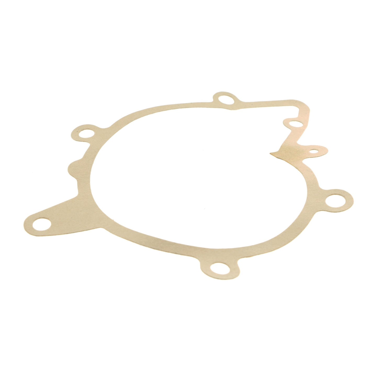 VAICO Engine Water Pump V20-50025-1