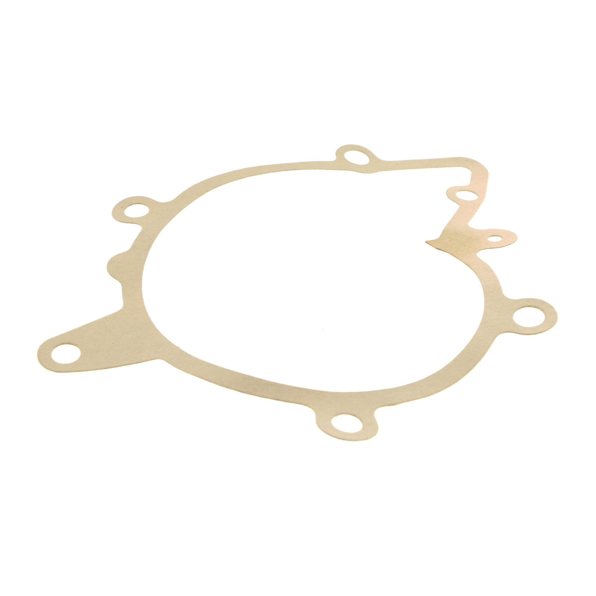 VAICO Engine Water Pump V20-50025-1