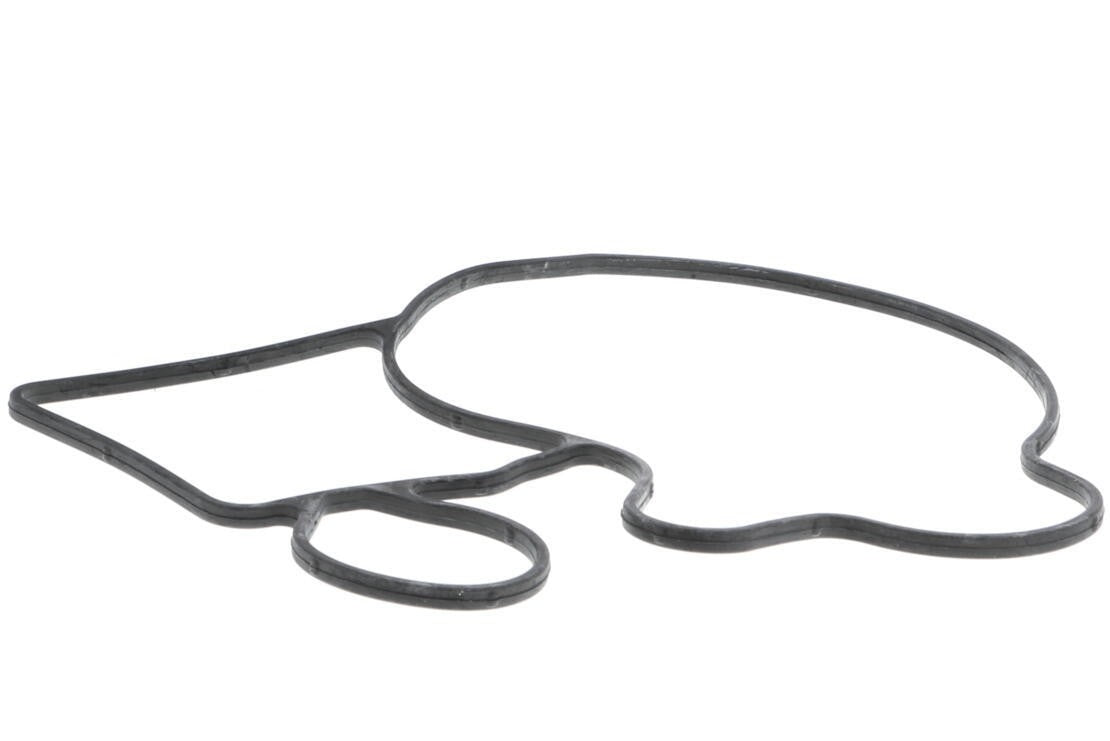 VAICO Engine Water Pump V20-50058