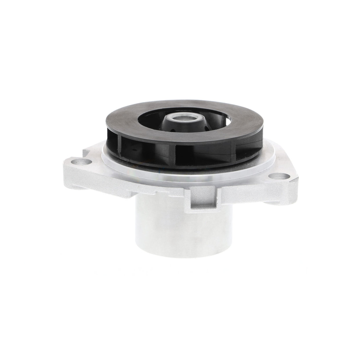 VAICO Engine Water Pump V24-50019