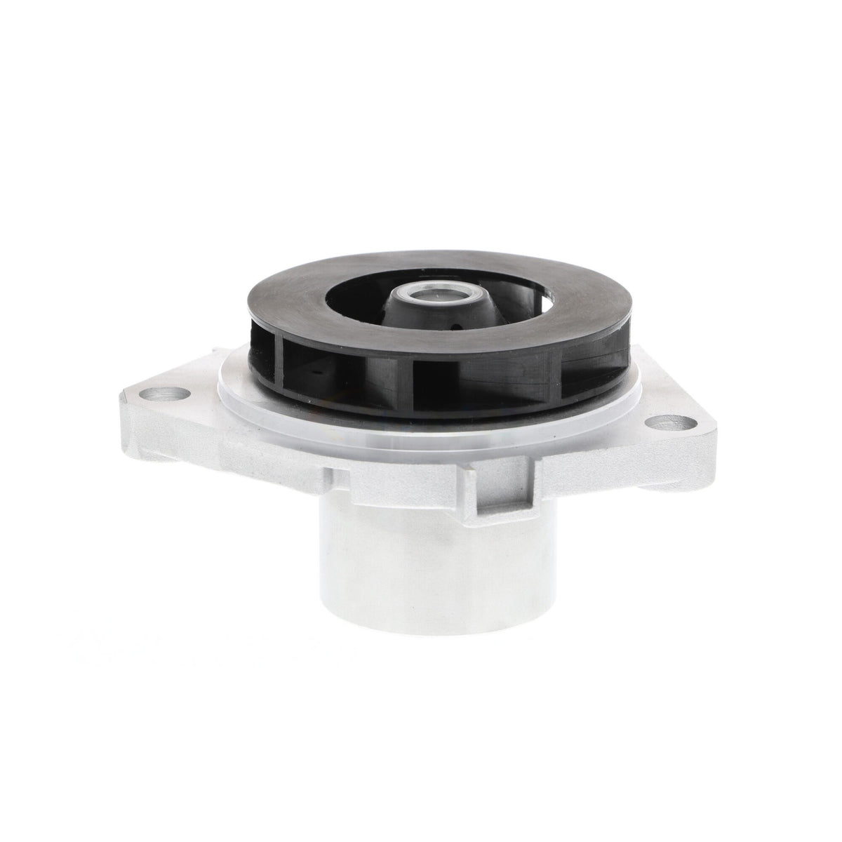 VAICO Engine Water Pump V24-50019