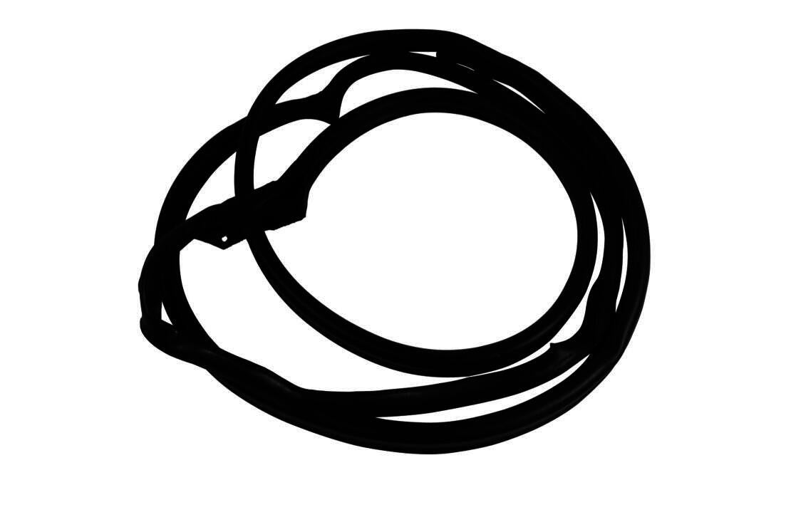 VAICO Door Window Seal V30-1548