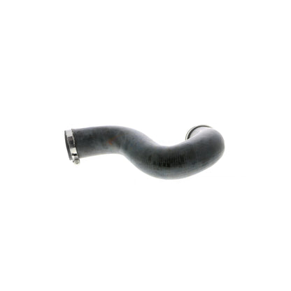 Vaico Turbocharger Intercooler Hose