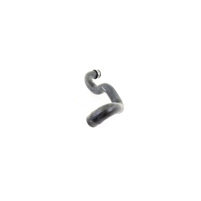VAICO Radiator Coolant Hose V30-1919