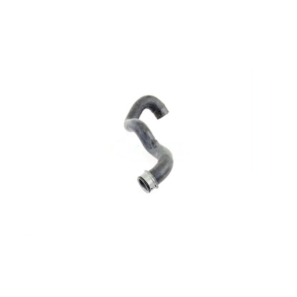 VAICO Radiator Coolant Hose V30-1919